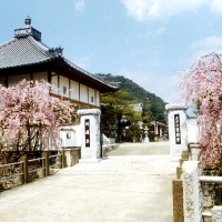 photo008x.jpg