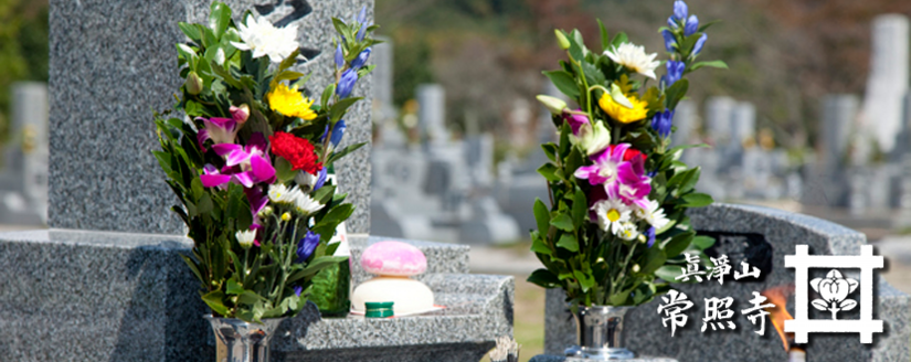 _DSC1024.png